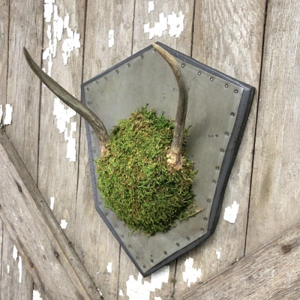 vintage + moss, Antler Diamond Plaque Small