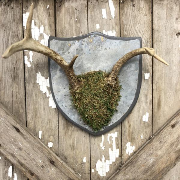 vintage + moss, Antler Shield Plaque Small