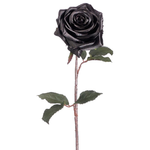 Allstate Floral, Black Magic Rose Stem 21.5" Box of 12