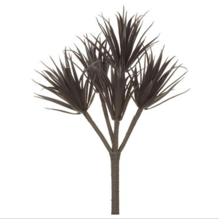 Allstate Floral, Black Mini Yucca Spray 14"