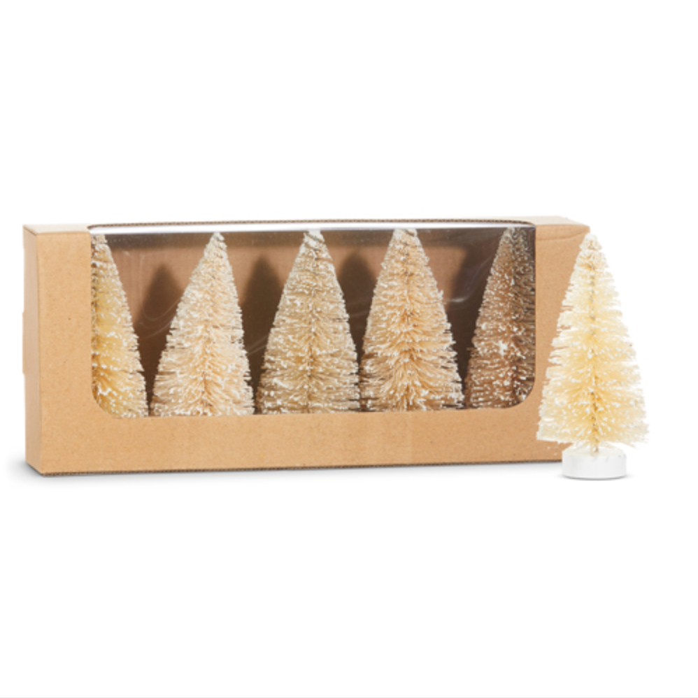 Raz, Box of Snowy Natural Bottle Brush Trees 4" Set of 5