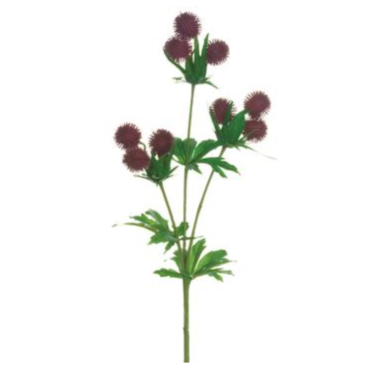 Allstate Floral, Burgundy Globe Thistle Spray 18"