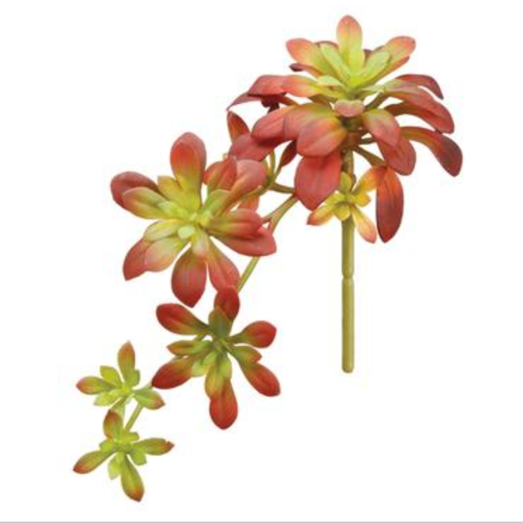 Allstate Floral, Burgundy/Green Soft Aeonium Pick 11.8"