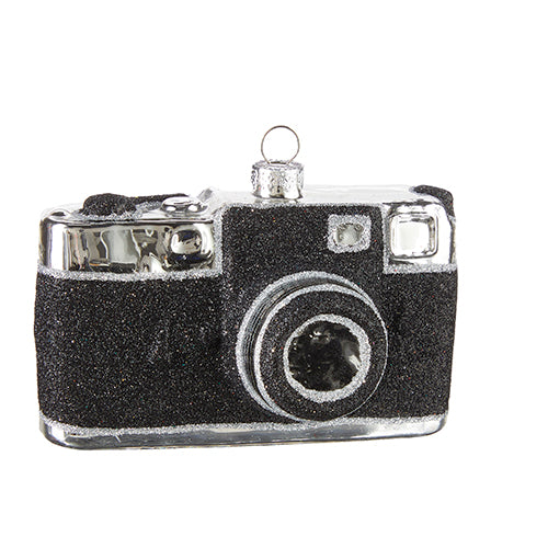 Raz, Camera Ornament 4.25"