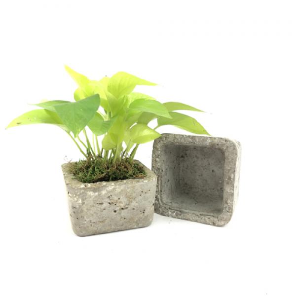 vintage + moss, Concrete Hypertufa Square Small