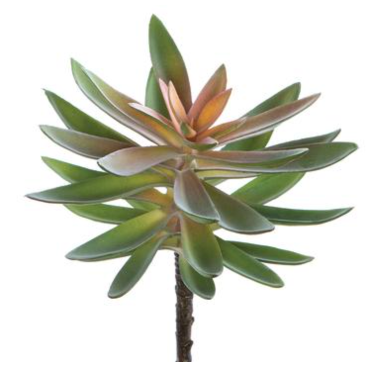 Allstate Floral, Green Agave Pick 8.5"