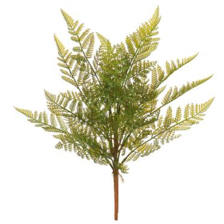 Allstate Floral, Green Fern Bush 17"