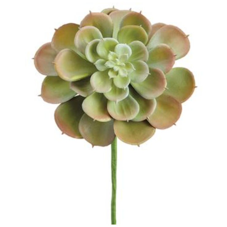 Allstate Floral, Green/Burgundy Soft Touch Echeveria Pick 9"