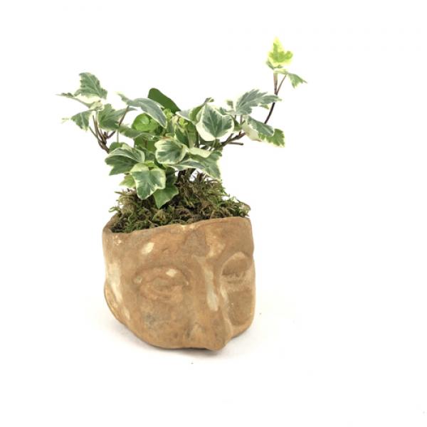 vintage + moss, Lil' Bob Planter