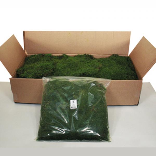 Natural Botanicals, Sheet Moss 8oz Bag